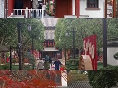 -秋霞圃