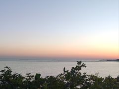 -贡湖湾湿地公园