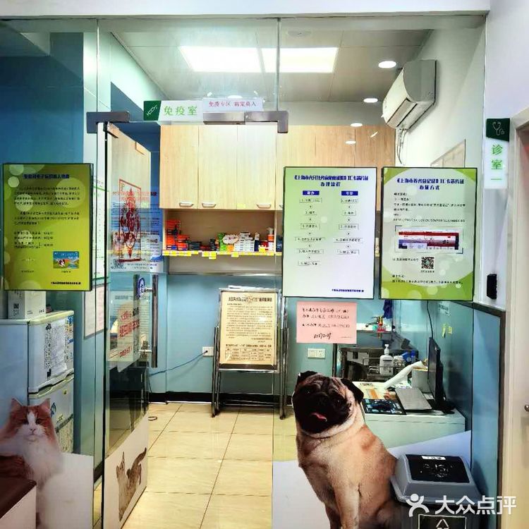 上海宠物医院推荐～为毛孩子寻找一家好口碑专业度高的医院