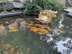 -龙门水都景区