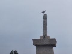 -安平桥