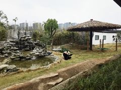 -杭州野生动物世界