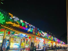 -岭南站NOVA