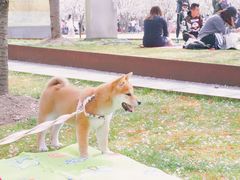 -栖露营camping·天幕烧烤·团建拓展·采摘营地