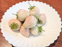 -龙吟山房(青龙山庄店)