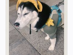 -瑞虹新天地月亮湾