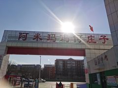 -何庄子阿米玛玛农产品批发市场