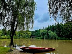 -沐仙湖湿地公园