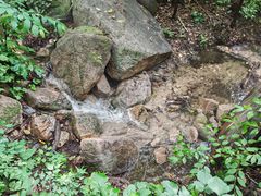 -大岭沟猕猴桃谷风景区