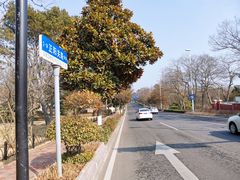 -八大关景区