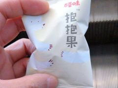 -杨高南路(地铁站)