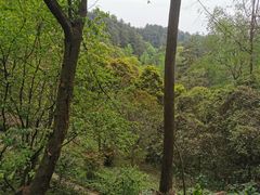 -生态园山庄(森林公园店)