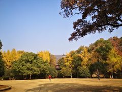 -灵谷景区