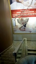 -佐登妮丝美容SPA生活馆