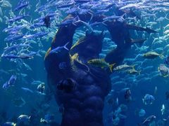 -哈尔滨波塞冬海底世界