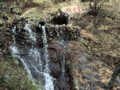 -宁波市保国寺古建筑博物馆
