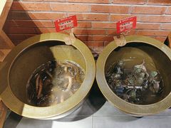 -鸽子窝(宋庄店)