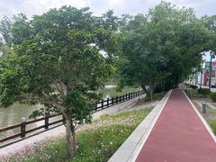 -美兰湖景区