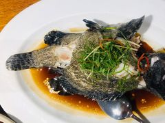 清蒸石斑鱼-泰华海鲜中餐厅(普吉镇店)