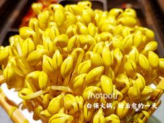 井水黄豆芽-巴奴毛肚火锅(悠唐购物中心店)
