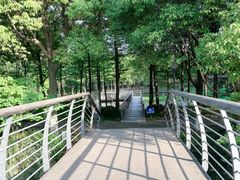 -尚贤河湿地