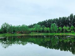 -东郊湿地公园
