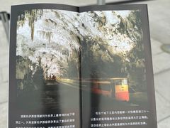 -波斯托伊纳溶洞