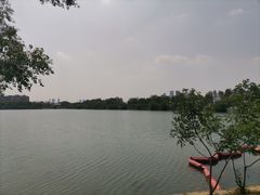-金银湖国家城市湿地公园