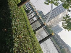-陈家山荷花公园