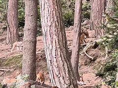 -黔灵山公园