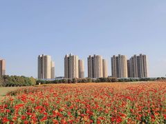 -映月湖中央公园