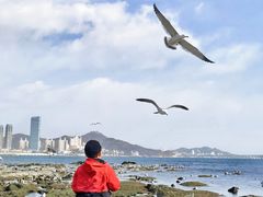 -黑石礁公园