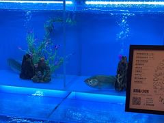 -怡咖啡·自助餐·西安香格里拉