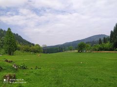-武陵山森林公园