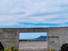 -涉地可支