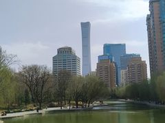-团结湖公园