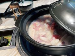 椰浆椰子鸡-同仁四季椰子鸡(福田东园总店)