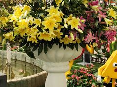 -上海鲜花港