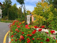 -长白山万达喜来登度假酒店