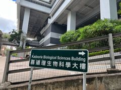-香港大学