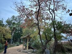 -东湖落雁景区