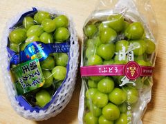 -新隆嘉生鲜超市(北二经街店)