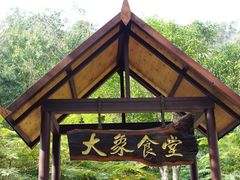 -野象谷景区
