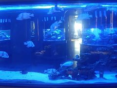 -上和臻品中国菜(花园街店)