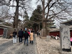 -少林寺欢喜地素斋馆