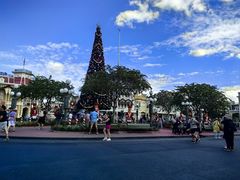 -奥兰多迪士尼动物王国乐园