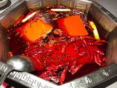 红锅底-蜀九香火锅(九眼桥店)