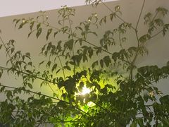 -眉州东坡(通州店)