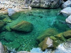 -石台牯牛降景区
