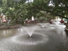 -映月湖公园